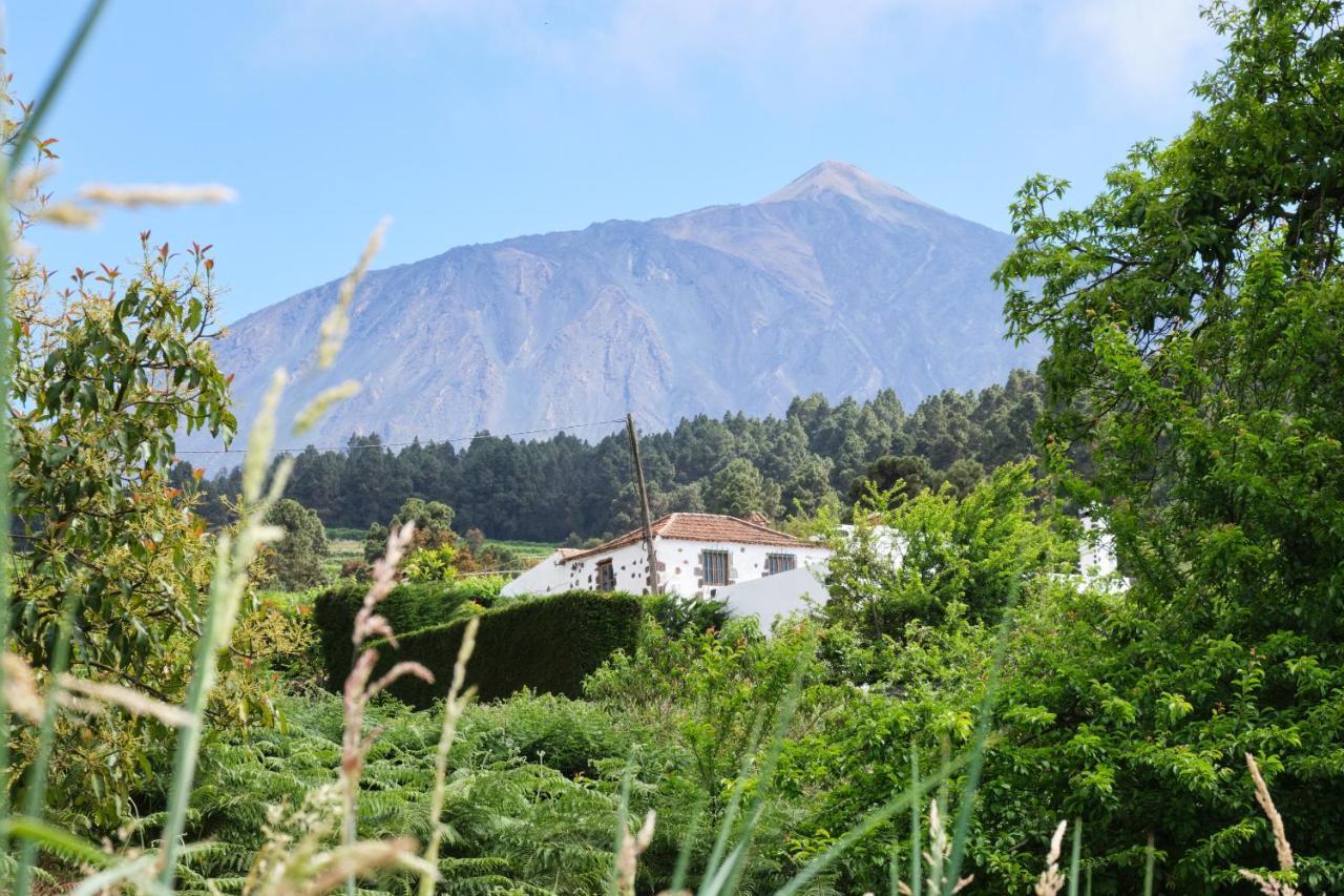 Casa Rural Felipe Luis San Juan de la Rambla Esterno foto