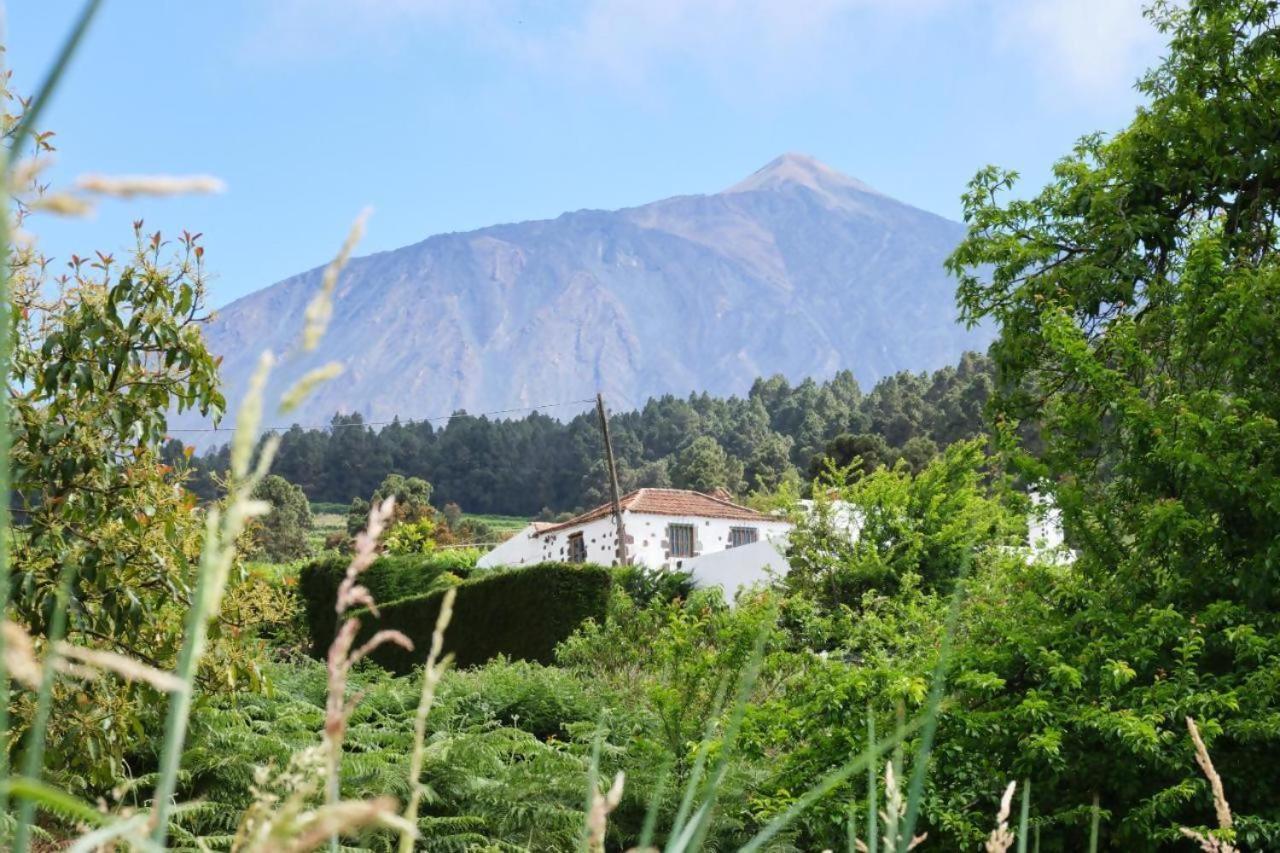 Casa Rural Felipe Luis San Juan de la Rambla Esterno foto
